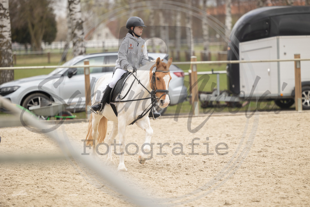 994A8391 | sabrinanicolaifotografie - Realisiert mit Pictrs.com