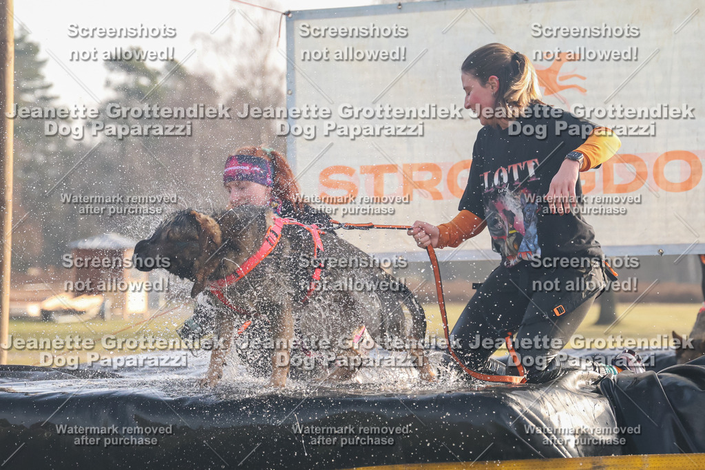 Dog Paparazzi - SD North 0326 900930-90 | Dog Paparazzi Jeanette Grottendiek Fotografie & Videografie - Realisiert mit Pictrs.com