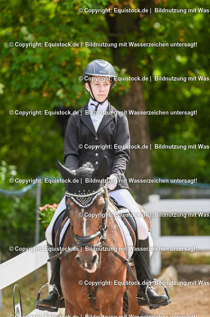 20230716_10-2_Reiter-WB Schritt - Trab - Galopp_0194 | equistock