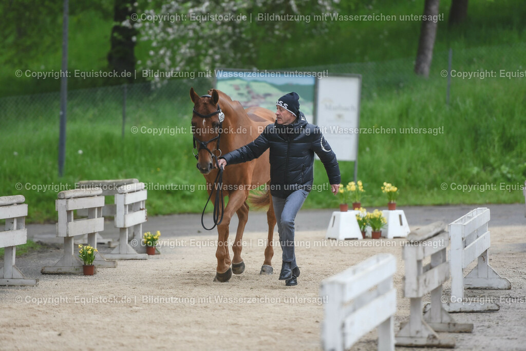 20230514_Impressionen_0141 | equistock