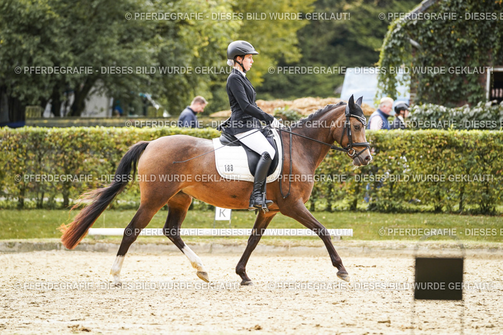 DSC01022 | Pferdegrafie