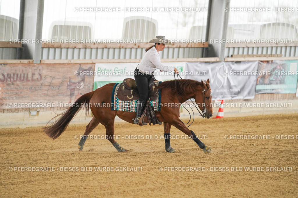 DSC07842 | Pferdegrafie