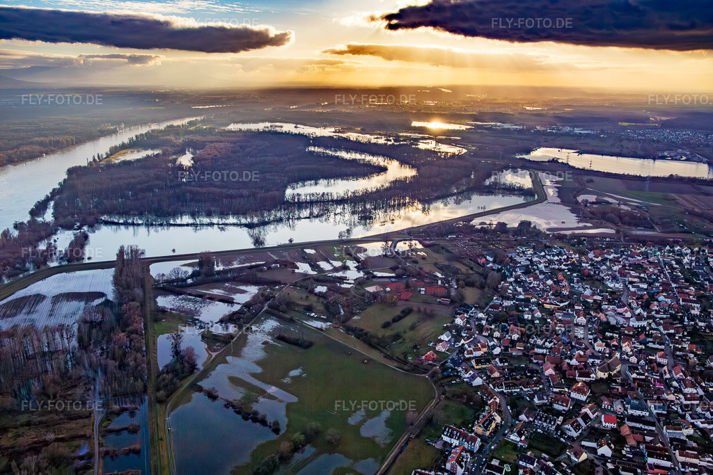 Luftbild: Wegen Hochwasser überflutetes Naturschutzgebiet Goldgrund in der Hagenbacher Altrheinschleife im Ortsteil Maximiliansau in Wörth im Bundesland Rheinland-Pfalz in Deutschland. Foto: IMG_139335.jpg vom 16.12.2023 durch Werner Riehm/FLY-FOTO.de