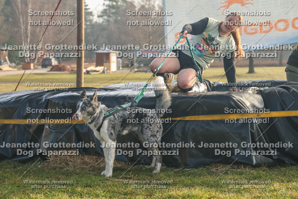 Dog Paparazzi - SD North Sa 830-900-107 | Dog Paparazzi Jeanette Grottendiek Fotografie & Videografie - Realisiert mit Pictrs.com