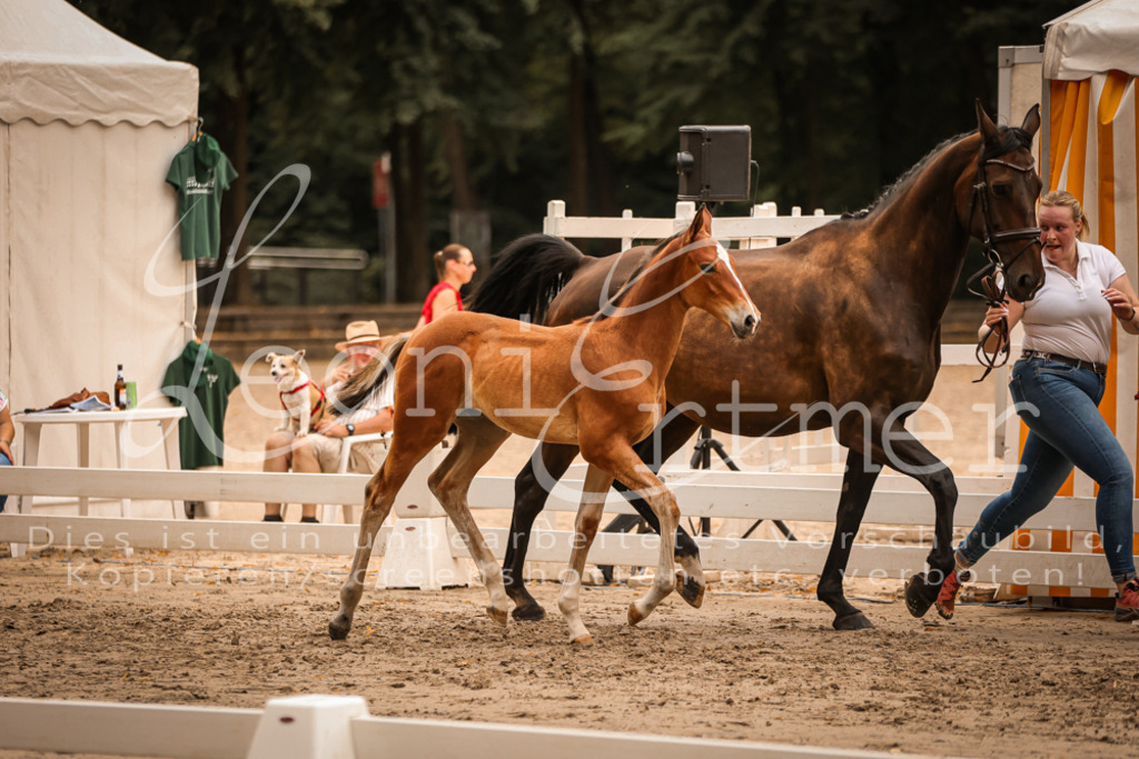 SaPA00236 | Leoni Ertmer Photography - Realisiert mit Pictrs.com