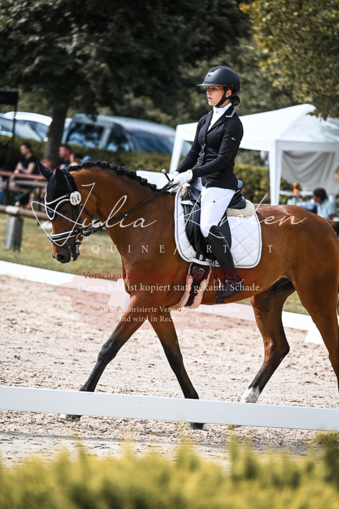 DSC_5143 | Pferde- und Turnierfotografie in Westsachsen. Pferdeportraits, Auftragszeichnungen und intuitive Kunst.