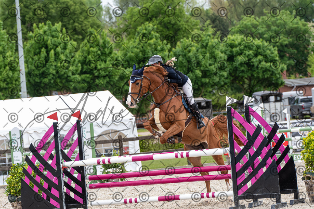 KPT_8496 | andre_photographic