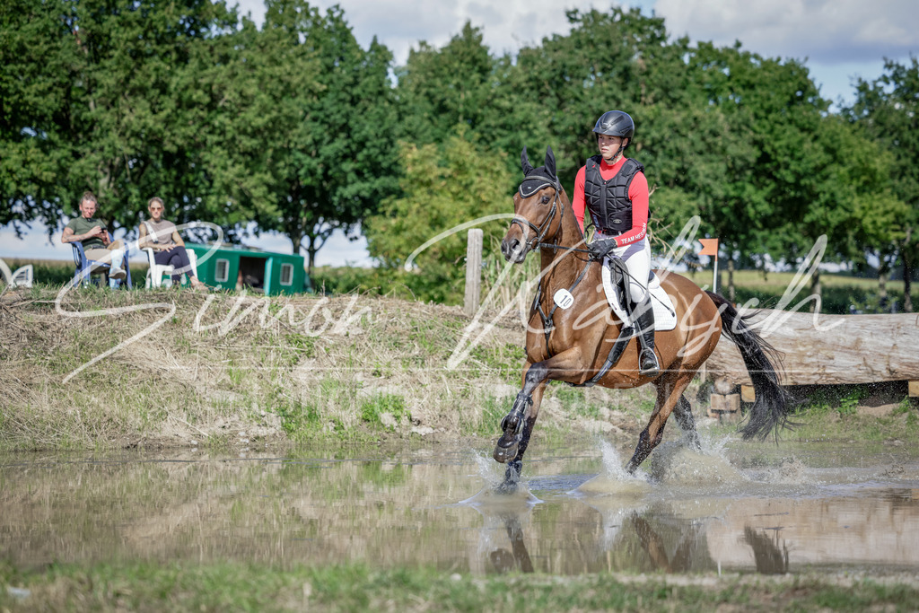 20250906-_3LI6782 | Tierfotografie Pferde, Hunde, Katzen, Haustiere.
Turnierfotografie Reitturniere, Reiten, Springreiten, Dressur in Hanau, dem Main-Kinzig-Kreis und dem Rhein-Main- Gebiet um Frankfurt
