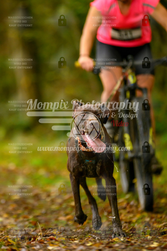 MompixPhotography_20TSB_E1_Doppel-17 | PayLife