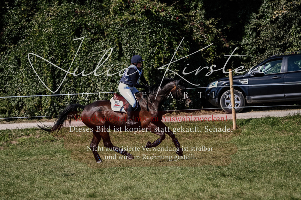 DSC_1622 | Pferde- und Turnierfotografie in Westsachsen. Pferdeportraits, Auftragszeichnungen und intuitive Kunst.
