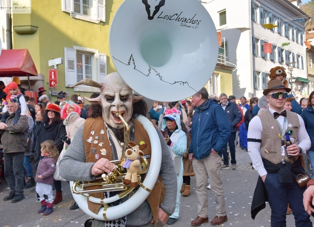 FaSoUmzug-165-RA | Fotoblog Schwarzwald, Foto Blog Wiesental, Pfaffenberg, Winterzauber, Zeller Bergland, Zell im Wiesental, Fotoblog Wiesental, Landschaftsfotos, Bilder Wiesental, Natur, Naturbilder, Fastnacht, Zeller Fastnacht, Zeller Fasnacht, Zeller Bergland, Belchen, - Realisiert mit Pictrs.com
