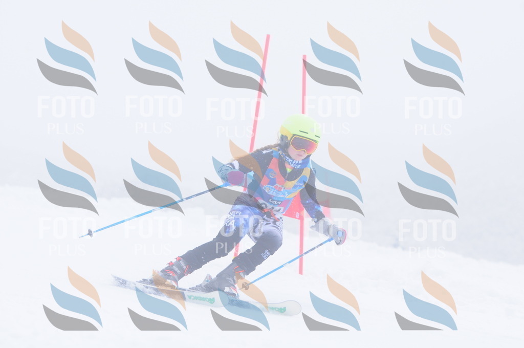 C2557 | holidayphoto