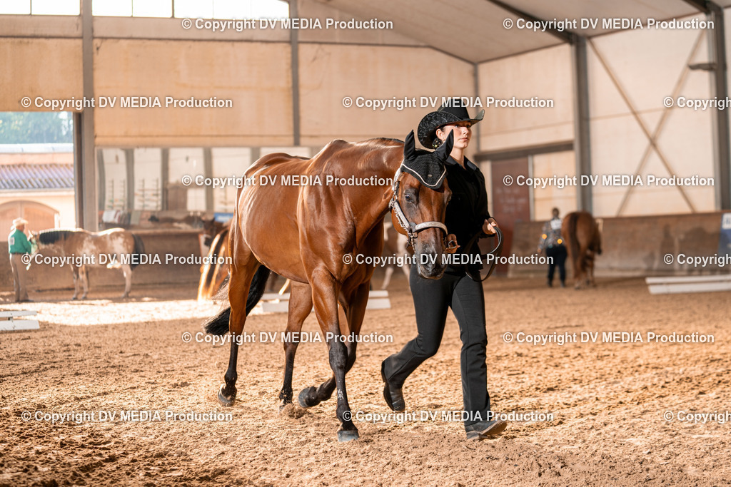 LM Heiligenwald Tag 1-08 | dv-media-shop - Realisiert mit Pictrs.com