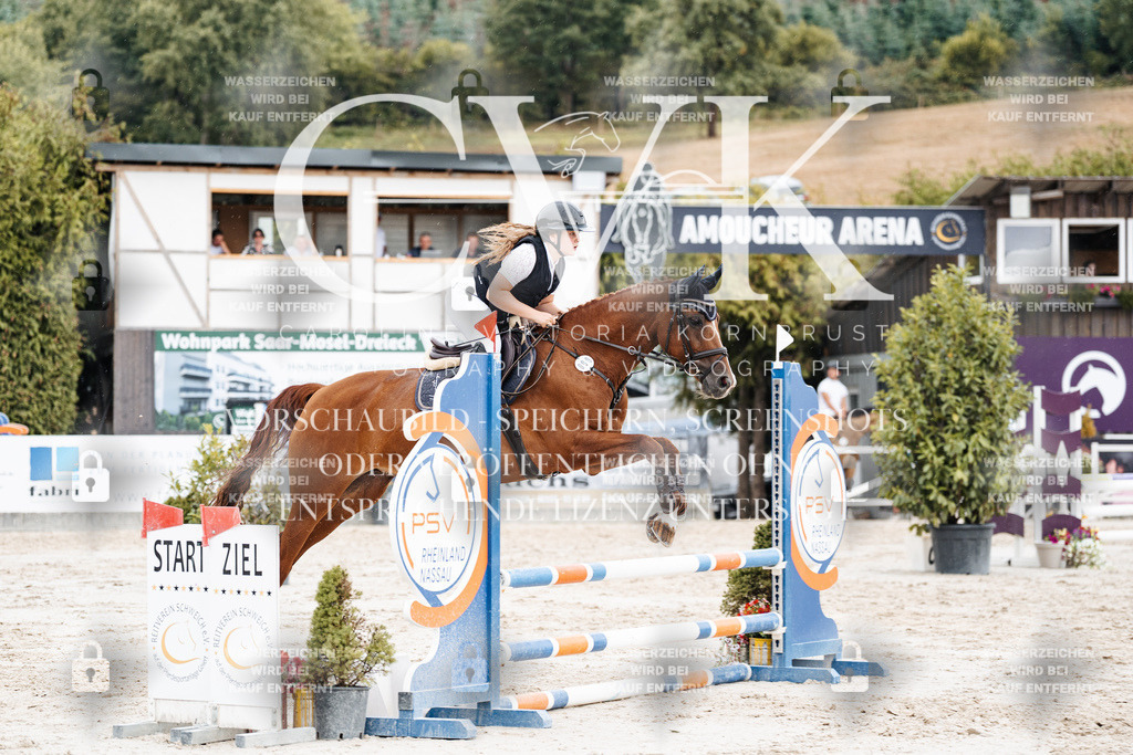 CK908680 | Turnierfotografie Pferdefotografie Trier Rheinland-Pfalz Pferdesport Reitsport Tierfotografie Sportfotografie Pferdevideo Pferdevideografie Equestrianvideography equestrianphotography  - Realisiert mit Pictrs.com