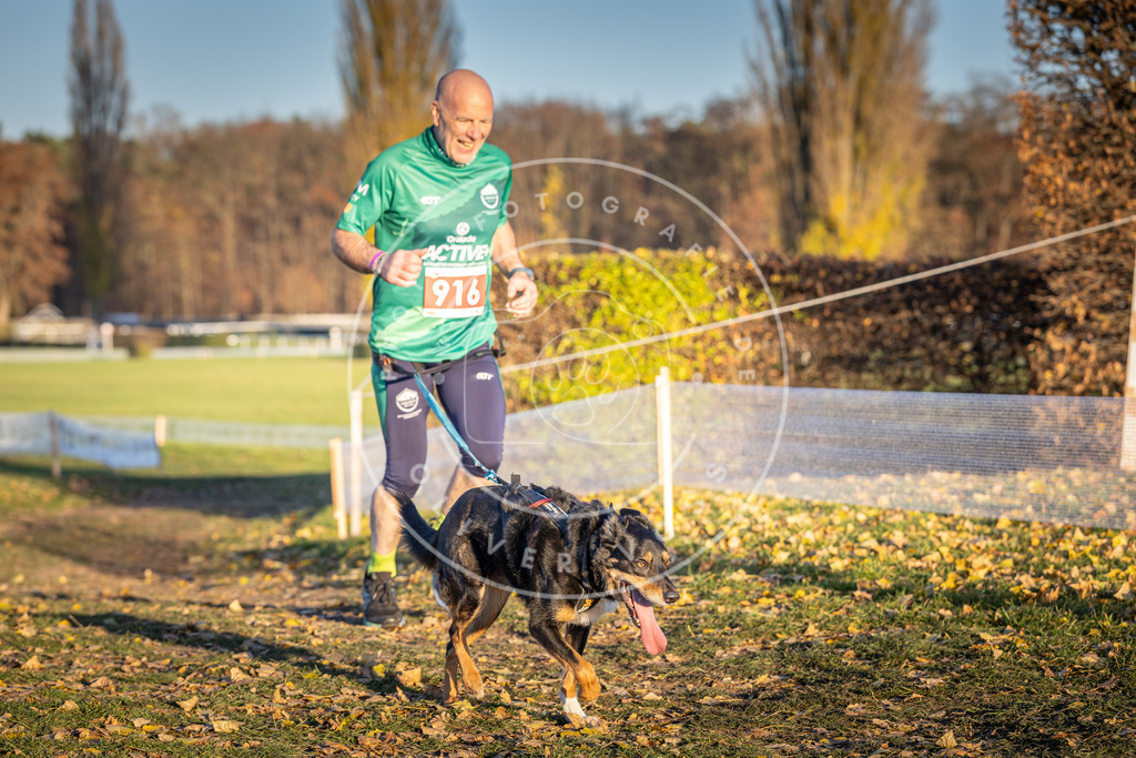 CaniXpix_DV3A4844 | Hundefotografie, Tierfotograf, Pfotenfotografie, Fotoshooting Hund, Hunde Portrait, Hundesport, Hundeportraits, Heideshooting, Hunde, Sportfotograf, Hundefotograf, Turnierhundsport, THS,  - Realisiert mit Pictrs.com