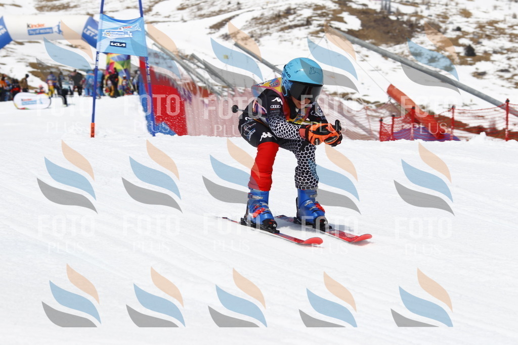 _U3G8086 | holidayphoto