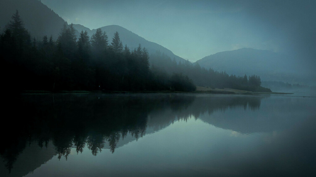 _W5A4316 | Sich an die einzigartigen Momente der Natur und Landschaft sowie die Begegnung mit heimischen wilden Tieren zu erinnern, dies kann man anhand den Bilder der Natur und Landschaftsfotografin Sandra Eimermacher.  - Realisiert mit Pictrs.com