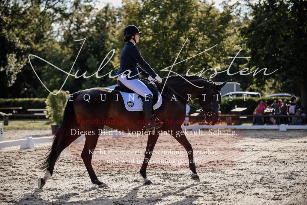 DSC_0563 | Pferde- und Turnierfotografie in Westsachsen. Pferdeportraits, Auftragszeichnungen und intuitive Kunst.