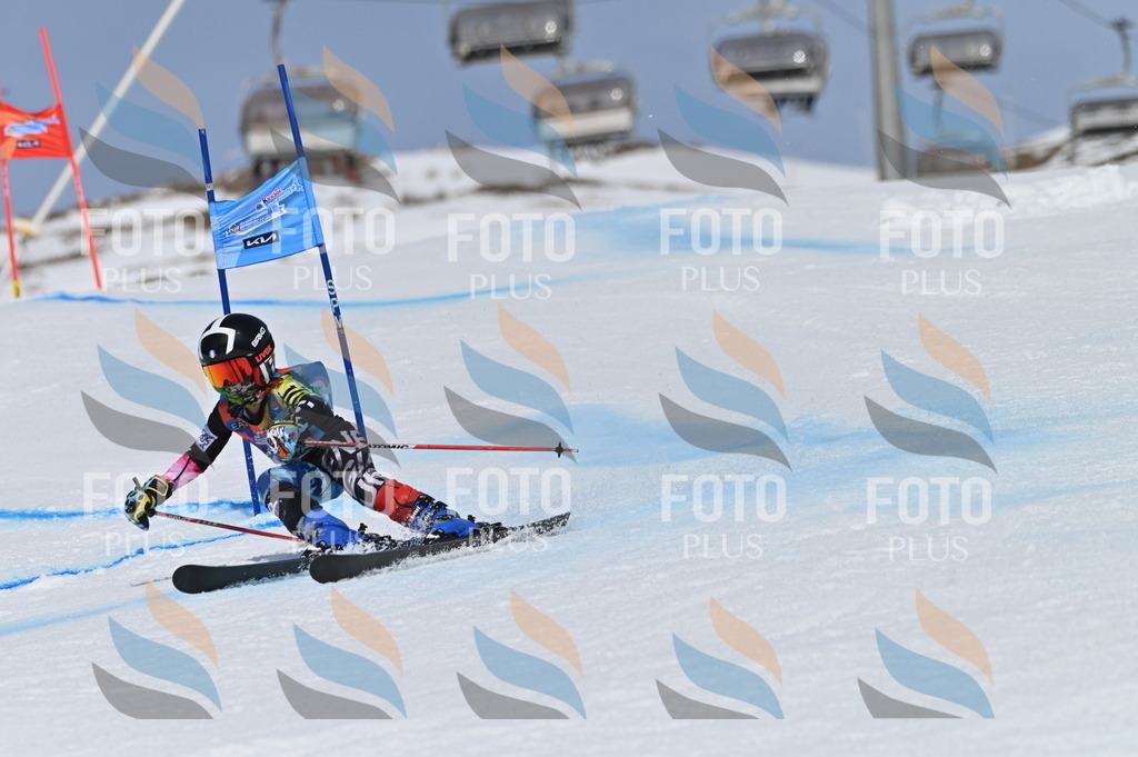 BGV_3477 | holidayphoto