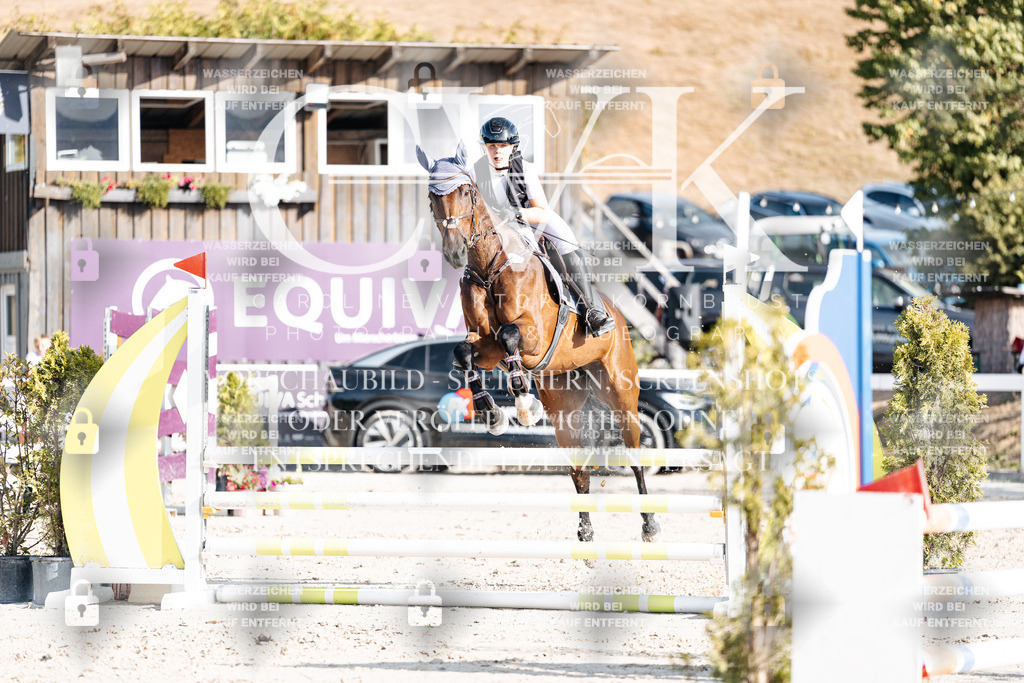 CK909615 | Turnierfotografie Pferdefotografie Trier Rheinland-Pfalz Pferdesport Reitsport Tierfotografie Sportfotografie Pferdevideo Pferdevideografie Equestrianvideography equestrianphotography  - Realisiert mit Pictrs.com