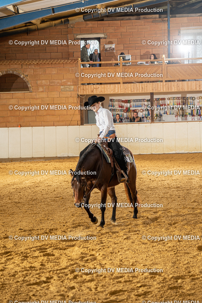 MIT00741 | dv-media-shop - Realisiert mit Pictrs.com