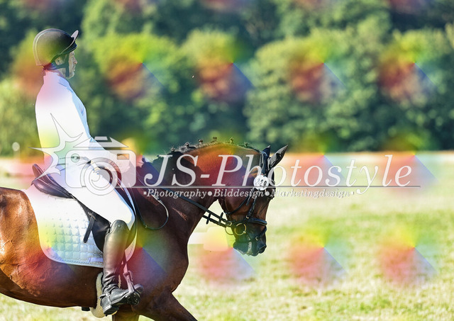 20260628_14a_VA_Dressur-29 | JS-Photostyle - Sport-/Portrait- & Eventfotografie