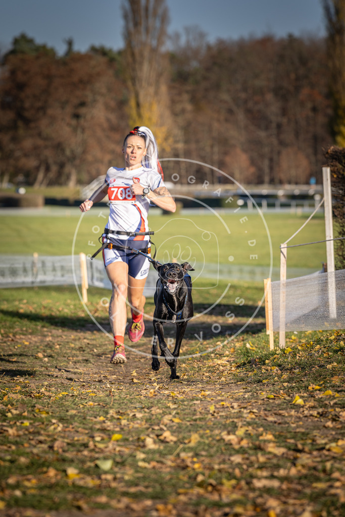 CaniXpix_DV3A1557 | Hundefotografie, Tierfotograf, Pfotenfotografie, Fotoshooting Hund, Hunde Portrait, Hundesport, Hundeportraits, Heideshooting, Hunde, Sportfotograf, Hundefotograf, Turnierhundsport, THS,  - Realisiert mit Pictrs.com