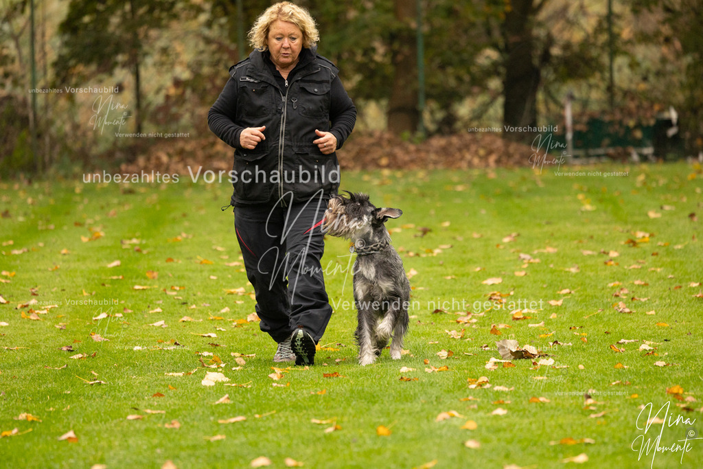 _16A0615 | Einzigartige Fotos von Hunden & Menschen –Actionfotos, Portraits, Vereinsaufnahmen & Paarshootings – authentisch, lebendig & mit Herz.