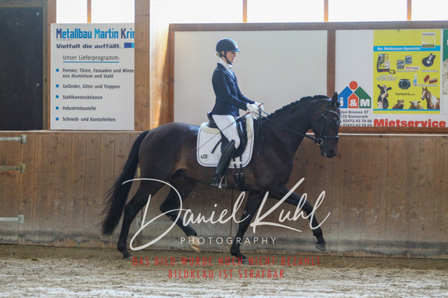DKP43229 | Turnierfotos kaufen im Webshop von Daniel Kuhl Photography – entdecke professionelle Reitsportfotos aus Turnieren & Events. Hochwertige Turnierbilder online bestellen & sichern. Jetzt Fotos von Reitsportturnieren kaufen!