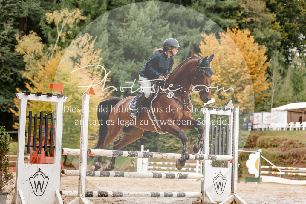 3I6A6808 | Stimmungsvolle Portraits und Reitsportfotografie im Ruhrgebiet und im Münsterland.

Pferdefotografie, Hundefotografie, Tierfotografie, Reportagen, Portraits von Tier und Mensch, Turnierfotografie in Bochum, Recklinghausen, Marl, Haltern am See, Dülmen.. - Realisiert mit Pictrs.com