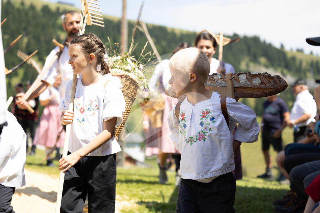 Rigi2025_2112 | Die Schwinger des Schwyzer Kantonalen Schwingerverbandes: Fotos, die Dynamik und Leidenschaft festhalten, sowie emotionale Momente aus dem traditionellen Schwingsport zeigen. - Realisiert mit Pictrs.com