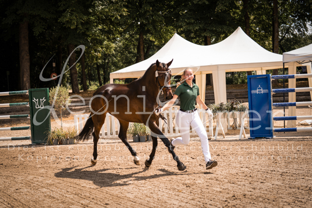 1.Fr00117 | Leoni Ertmer Photography - Realisiert mit Pictrs.com