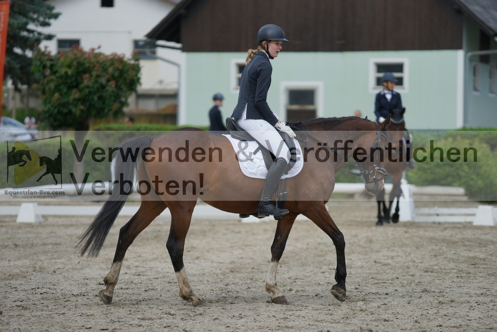 DSC05380 | equestrian-live-com
