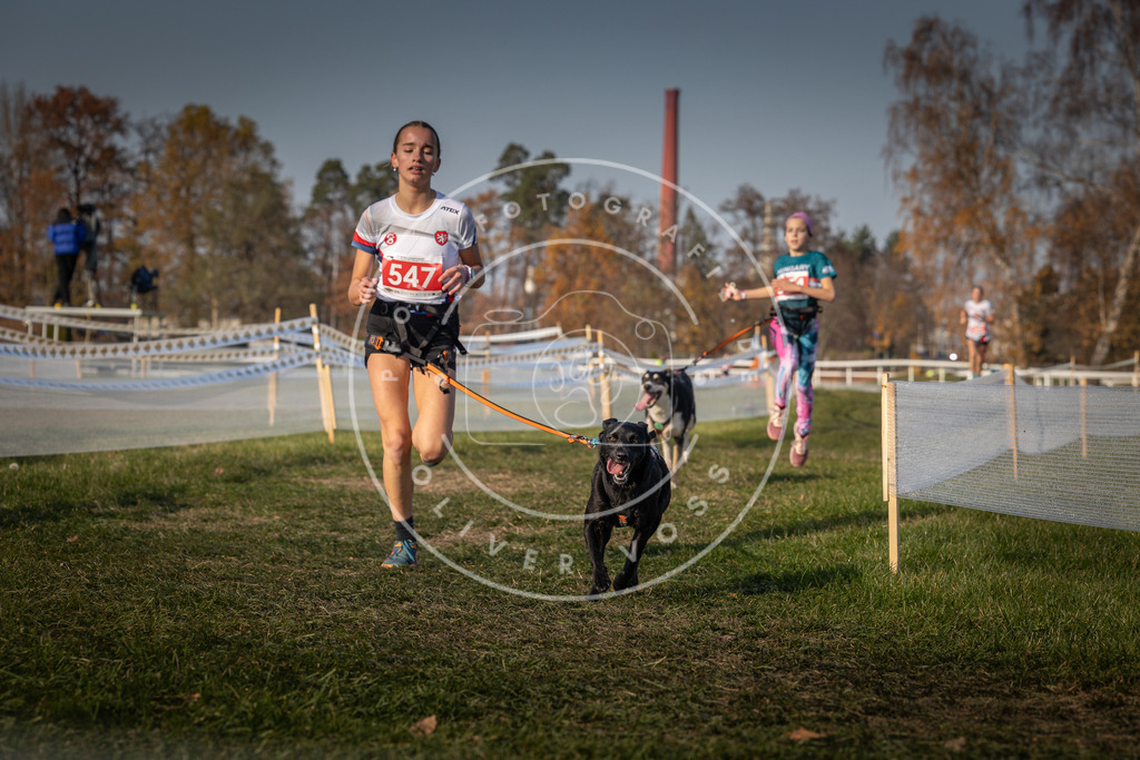 CaniXpix_0L8A9331 | Hundefotografie, Tierfotograf, Pfotenfotografie, Fotoshooting Hund, Hunde Portrait, Hundesport, Hundeportraits, Heideshooting, Hunde, Sportfotograf, Hundefotograf, Turnierhundsport, THS,  - Realisiert mit Pictrs.com