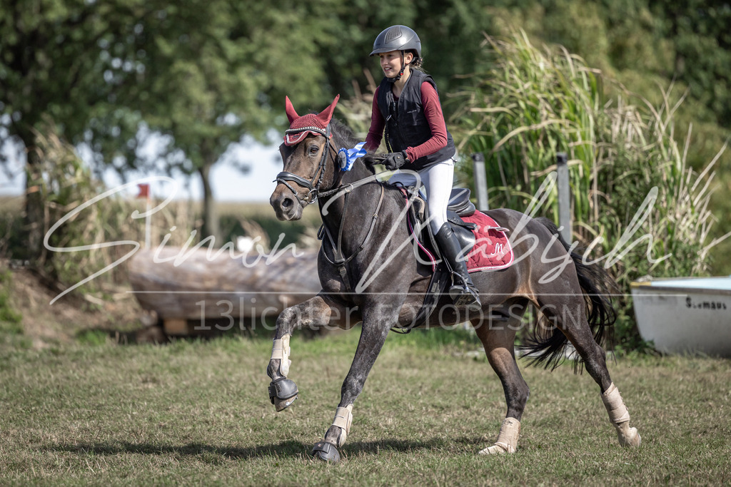20250907-_3LI0616 | Tierfotografie Pferde, Hunde, Katzen, Haustiere.
Turnierfotografie Reitturniere, Reiten, Springreiten, Dressur in Hanau, dem Main-Kinzig-Kreis und dem Rhein-Main- Gebiet um Frankfurt