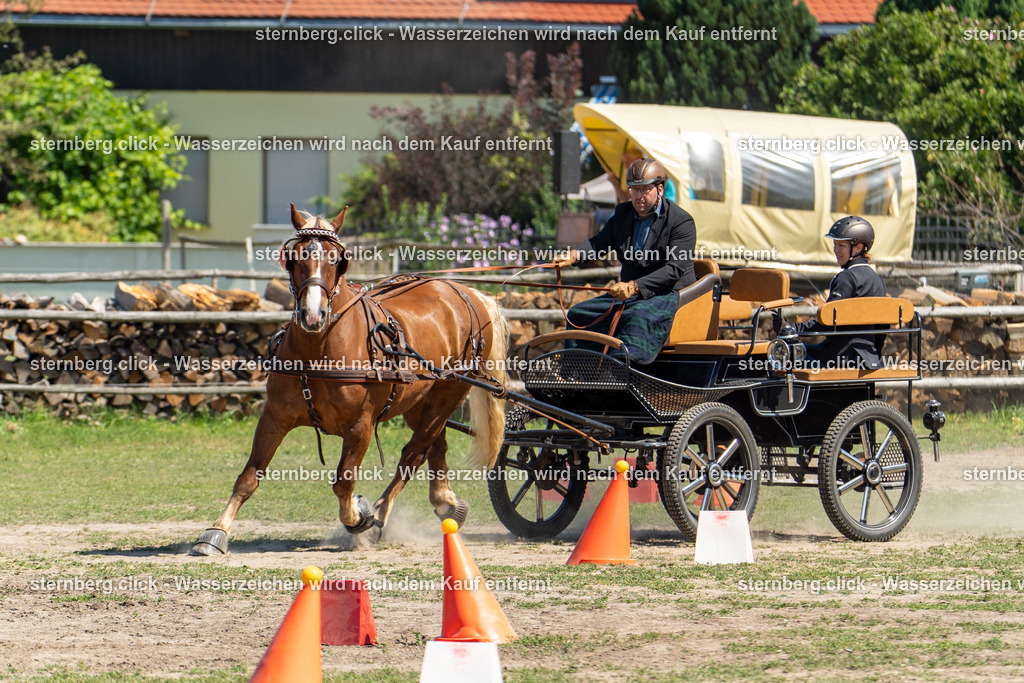 2026-08-09_12-13-15_WBO_Pulsnitz | sternberg.click - Realisiert mit Pictrs.com