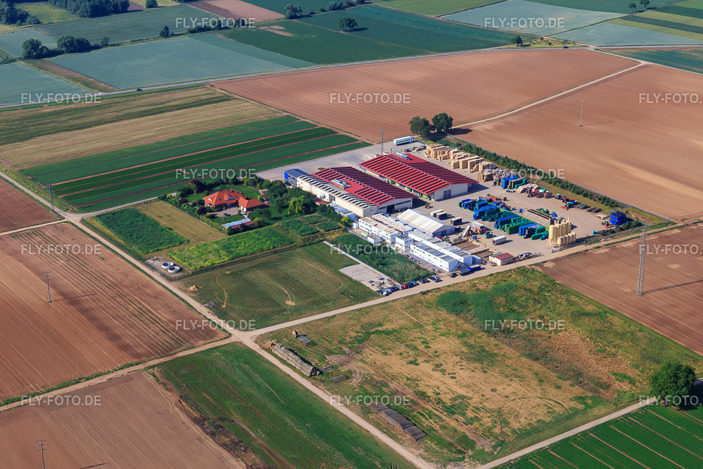 Gemüseanbau - Dieter Stubenbordt http://www.stubenbordt.de/ | Luftbild: Gemüseanbau - Dieter Stubenbordt http://www.stubenbordt.de/ in Zeiskam im Bundesland Rheinland-Pfalz in Deutschland. Foto: IMG_080971.jpg vom 14.06.2015 durch Werner Riehm/FLY-FOTO.de - Realisiert mit Pictrs.com