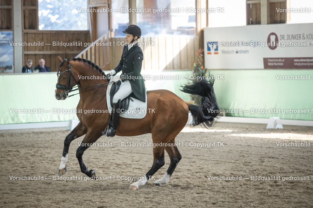 _D5A9749 | Emotionale Pferde- & People-Fotografie rund um Heidelberg, Leimen & Umgebung. Natürliche Fotos von Pferd, Mensch & Familie. Jetzt Termin sichern!