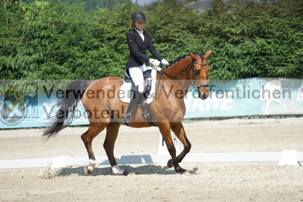 DSC01551 | equestrian-live-com