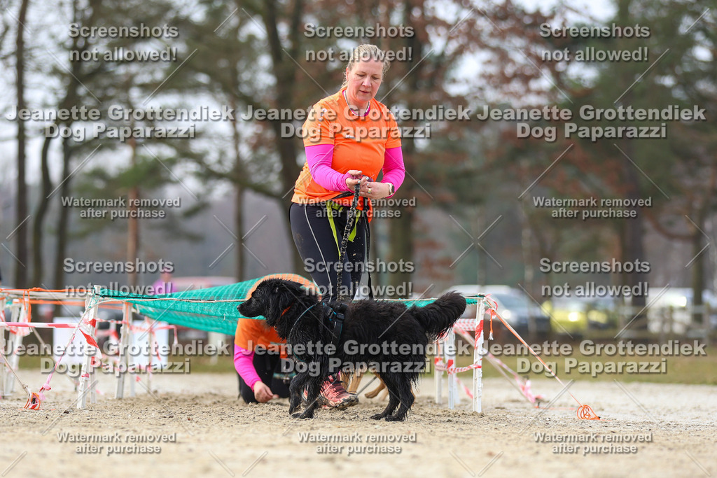 Dog Paparazzi - Strongdog North Mrz26-4273 | Dog Paparazzi Jeanette Grottendiek Fotografie & Videografie - Realisiert mit Pictrs.com