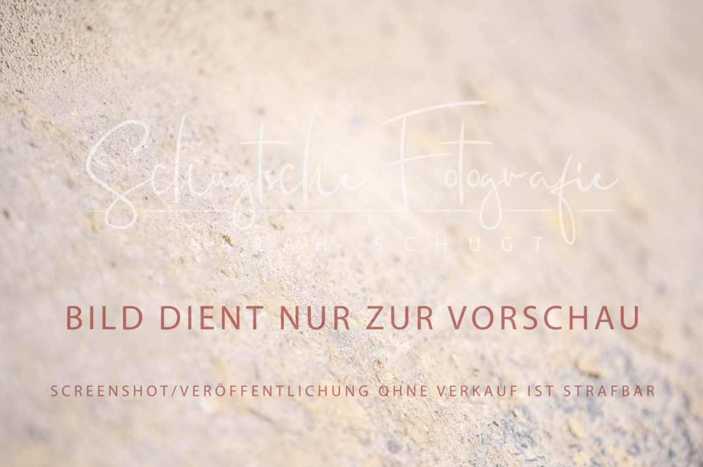 Schugtsche-Aluta25-42.EDressur -276 | Schugtsche Fotografie - Realized with Pictrs.com