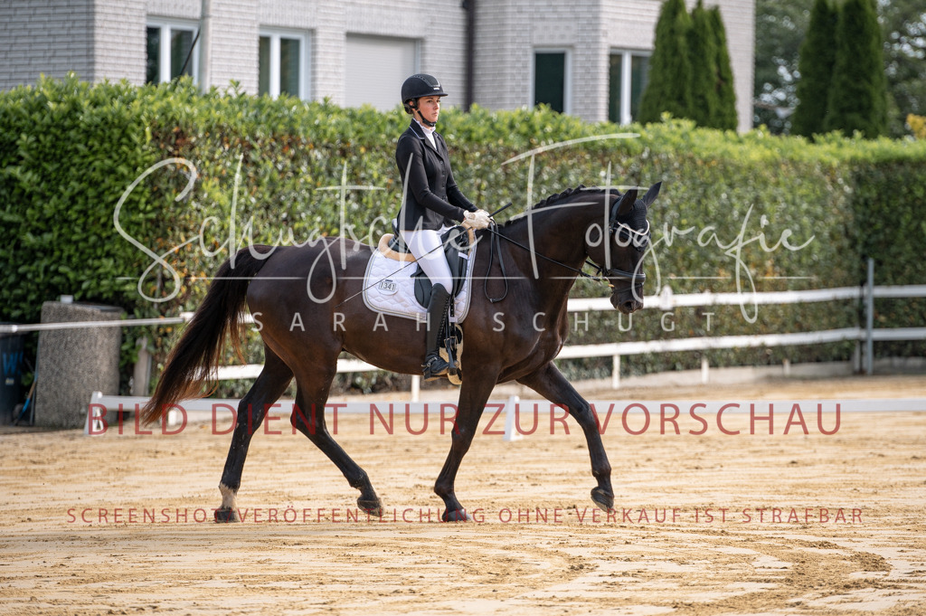 Schugtsche-Aluta25-40.DressurprfA_-20 | Schugtsche Fotografie - Realisiert mit Pictrs.com