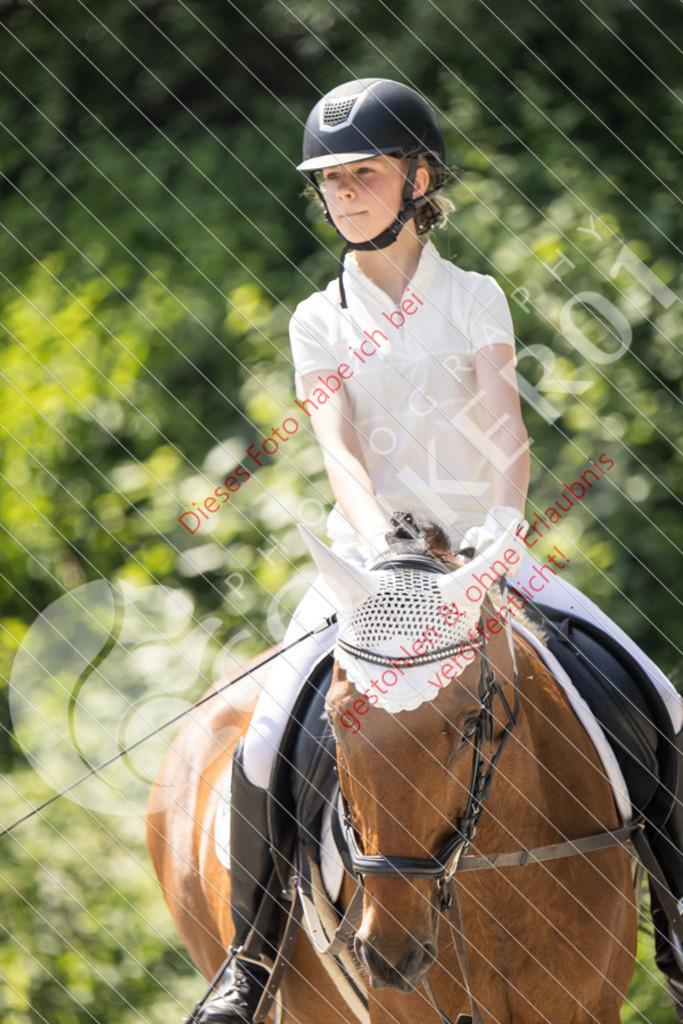 IMG_4581 | Sport-, Event- und Tierfotos in Profiqualität. Einfach auswählen, bestellen und herunterladen. Dein Moment – perfekt festgehalten.