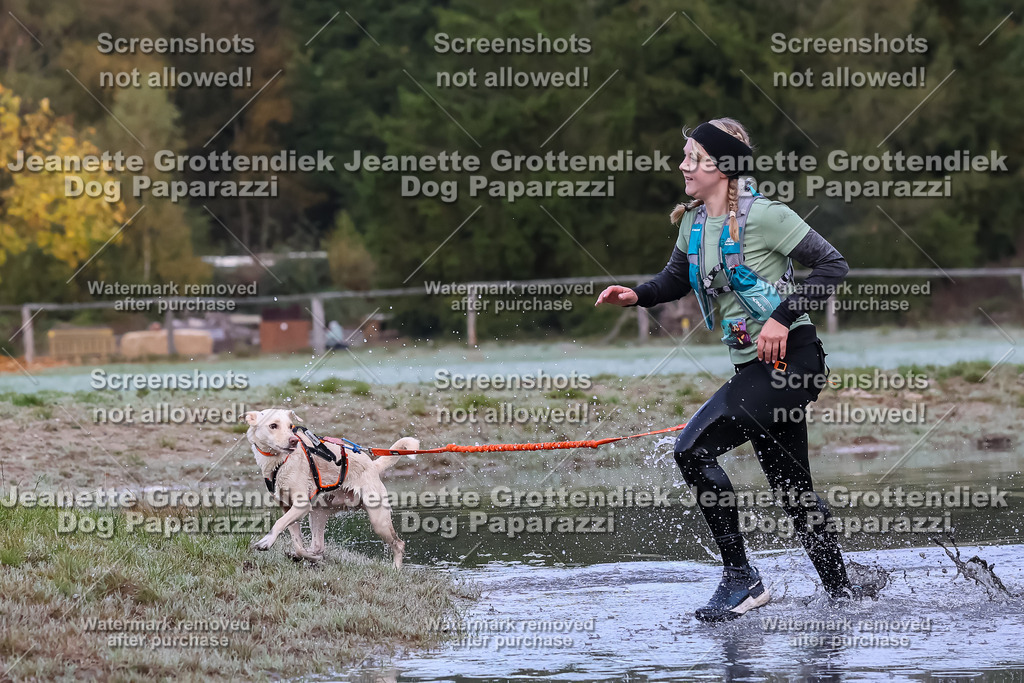 Dog Paparazzi - Strongdog 10-25-6243 | Dog Paparazzi Jeanette Grottendiek Fotografie & Videografie - Realisiert mit Pictrs.com