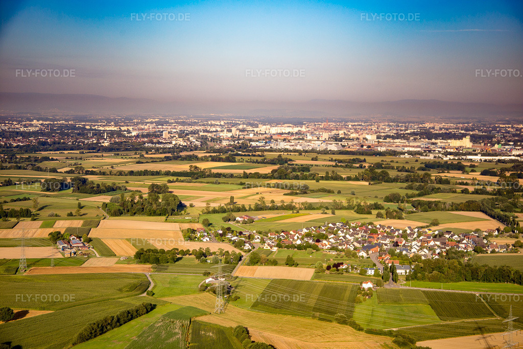 Luftbild: Ortsansicht von Osten im Ortsteil Querbach in Kehl im Bundesland Baden-Württemberg in Deutschland. Foto: IMG_093162.jpg vom 16.08.2016 durch Werner Riehm/FLY-FOTO.de