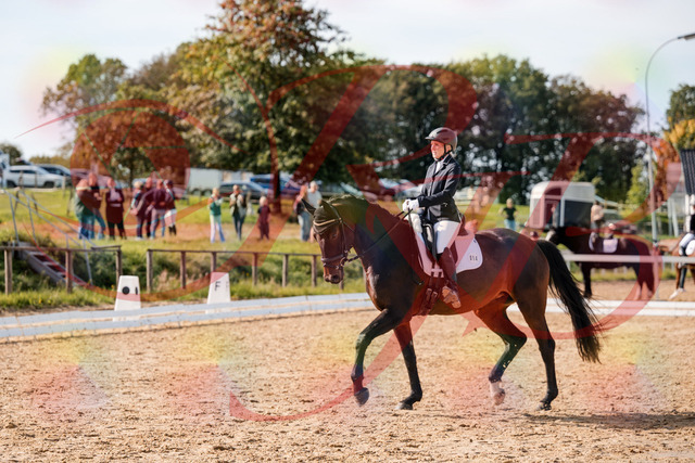 2026_10_03_Siefer-Hof_133621_Z63_96853901 | Professionelle Reitsport-, Turnier- und Eventfotografie von Robert Broda. Galerien mit ausgewählten und bearbeiteten Bildern direkt online ansehen und bestellen.