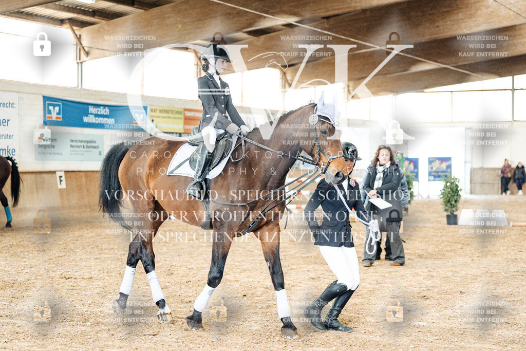 CK905901 | Turnierfotografie Pferdefotografie Trier Rheinland-Pfalz Pferdesport Reitsport Tierfotografie Sportfotografie Pferdevideo Pferdevideografie Equestrianvideography equestrianphotography  - Realized with Pictrs.com