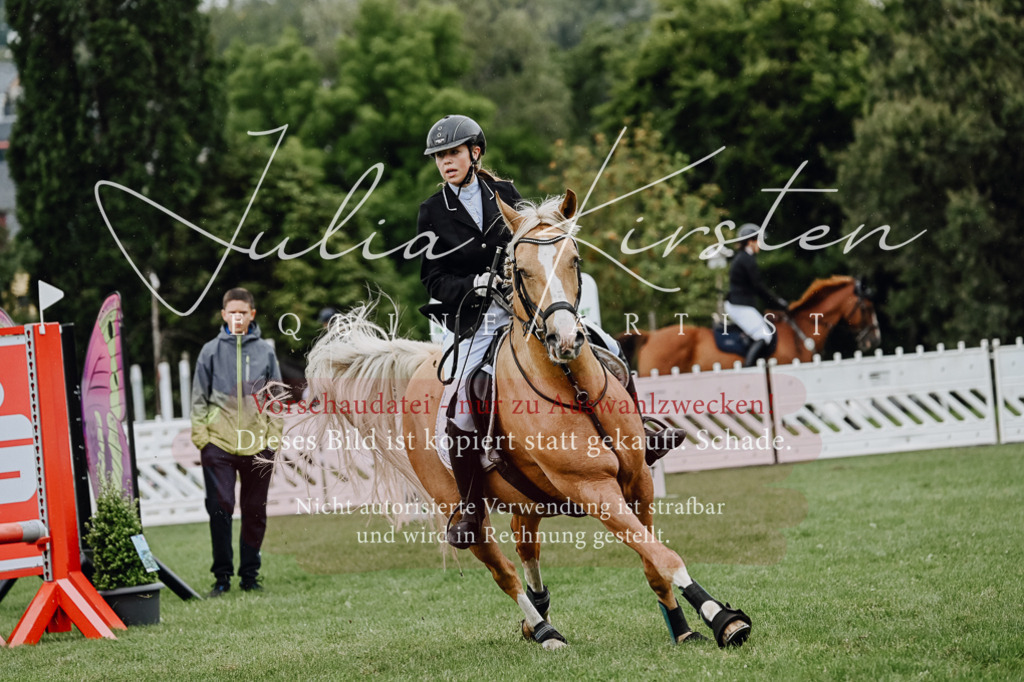 DSC_6885 | Pferde- und Turnierfotografie in Westsachsen. Pferdeportraits, Auftragszeichnungen und intuitive Kunst.