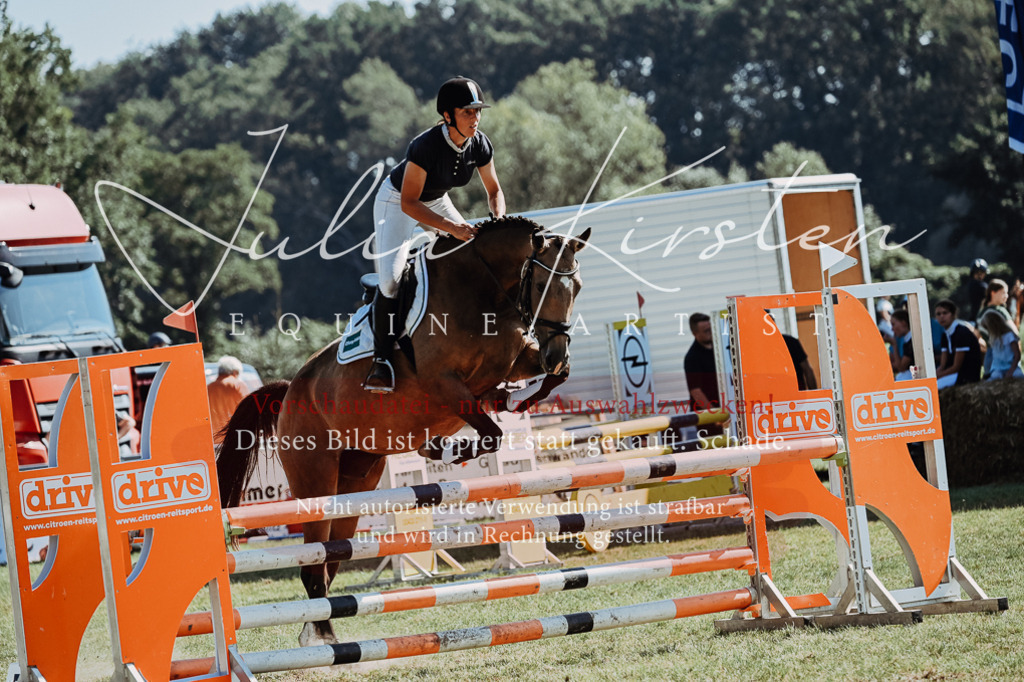 DSC_5940 | Pferde- und Turnierfotografie in Westsachsen. Pferdeportraits, Auftragszeichnungen und intuitive Kunst.
