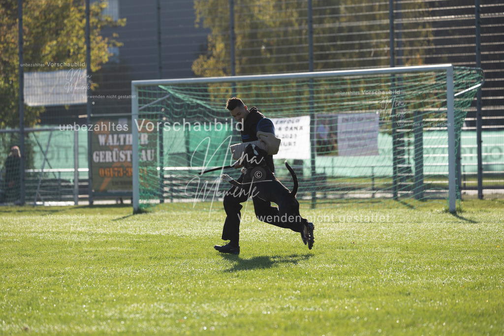 _16A6298 | Einzigartige Fotos von Hunden & Menschen –Actionfotos, Portraits, Vereinsaufnahmen & Paarshootings – authentisch, lebendig & mit Herz.